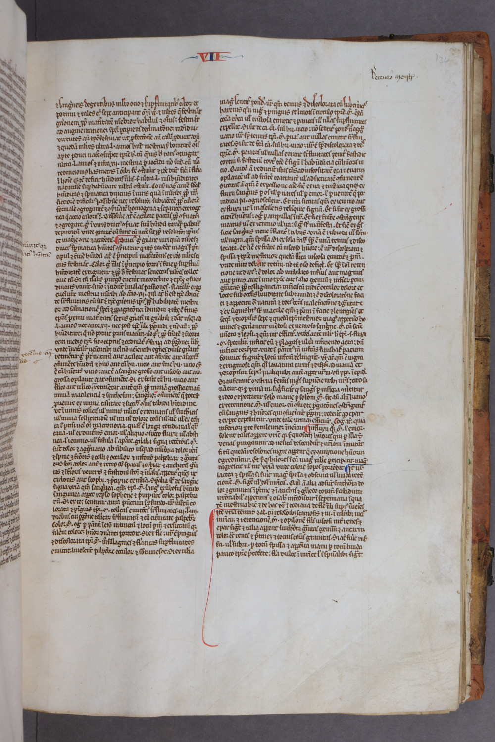 Folio 134 recto
